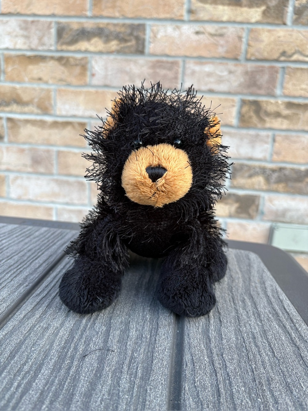 2/$16 GANZ Webkinz Black Bear - GUC